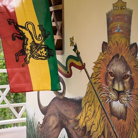 Clifton FallsThe Lion House Jamaica别墅 外观 照片