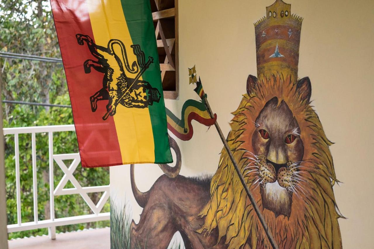 Clifton FallsThe Lion House Jamaica别墅 外观 照片